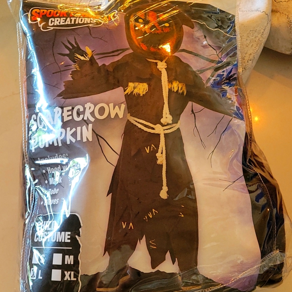 Scarecrow pumpkin costume